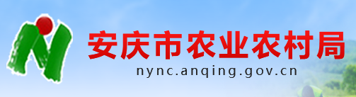 ���c�r�I(y��)�r���